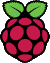 Raspberry Pi Logo